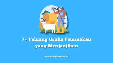 7+ Peluang Usaha Peternakan yang Menjanjikan
